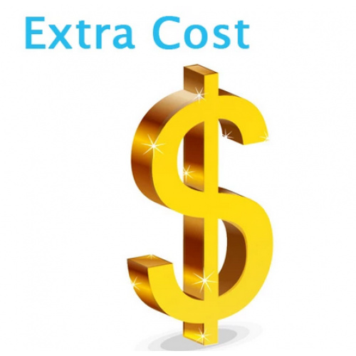 Extra Fee extra cost for accessories or special shipment service, please contact us before placing the item